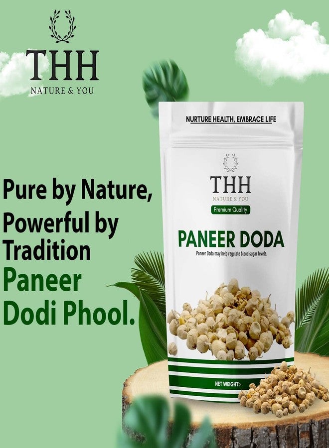 THH Paneer Doda Phool for Diabetes| Dodi (Flower)| Natural Paneer ke Phool 350gm - Image 2